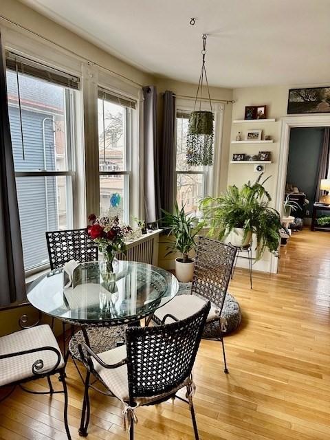 dining room featuring light wood finished floors