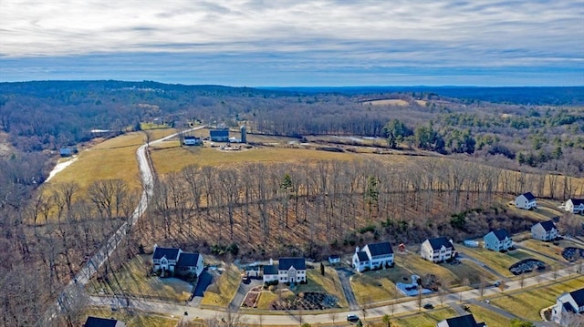 3 Jasmine Dr, Oxford, MA 01540 - birds eye view of property featuring a view of trees