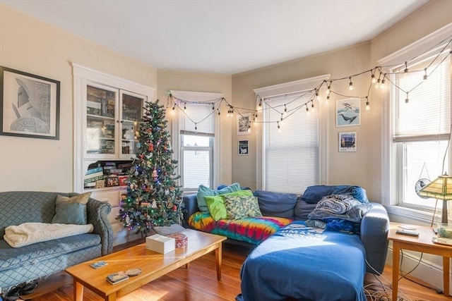 living room with hardwood / wood-style flooring