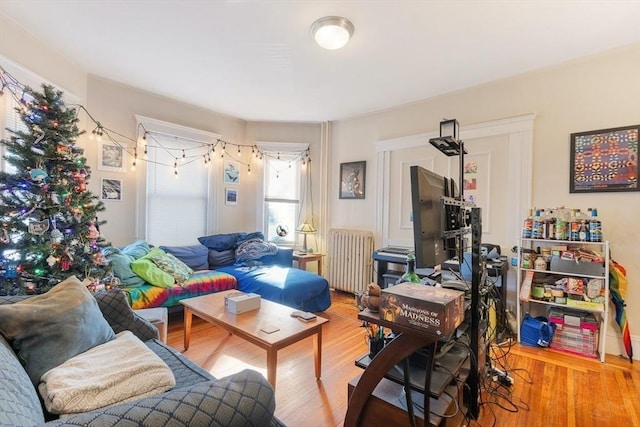 living room with hardwood / wood-style flooring and radiator heating unit