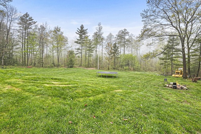 93 Lincoln Ave, Ashburnham, MA 01430 - view of green lawn featuring a trampoline