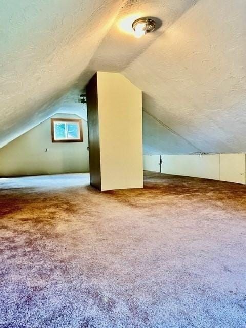 additional living space with carpet floors, a textured ceiling, and vaulted ceiling