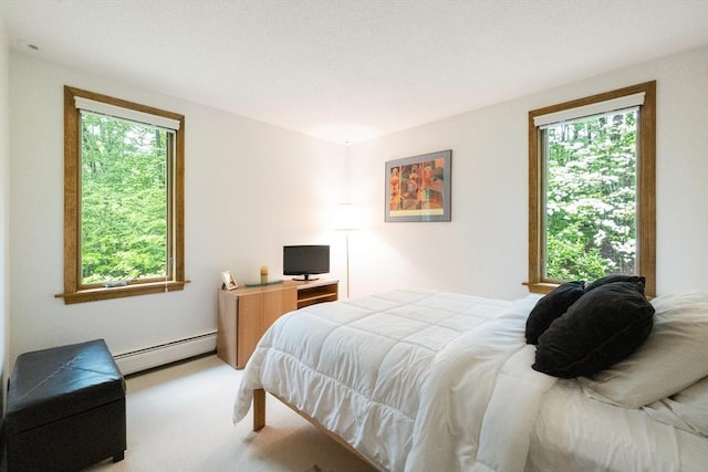 21 Birch Ln, Northampton, MA 01062 - bedroom featuring baseboard heating and carpet floors