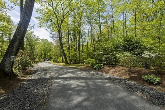 21 Birch Ln, Northampton, MA 01062 - view of road featuring a view of trees