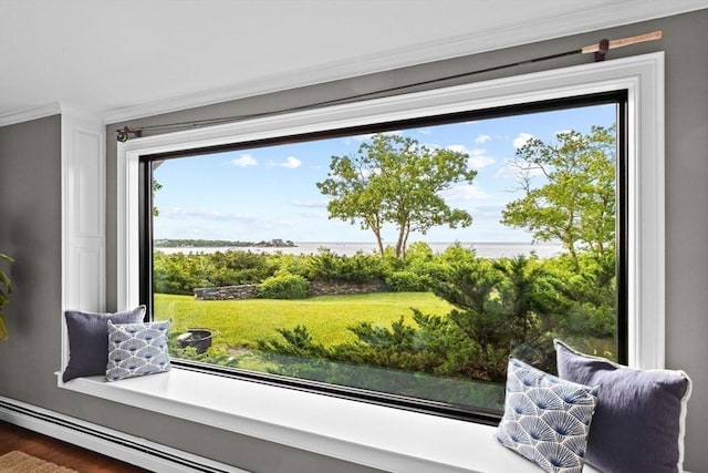 details featuring hardwood / wood-style floors, a water view, and ornamental molding