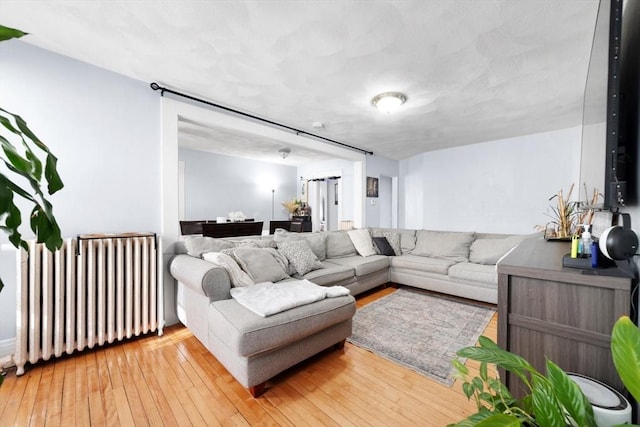 living room featuring wood-type flooring and radiator