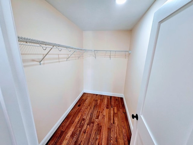 spacious closet featuring dark wood-style floors