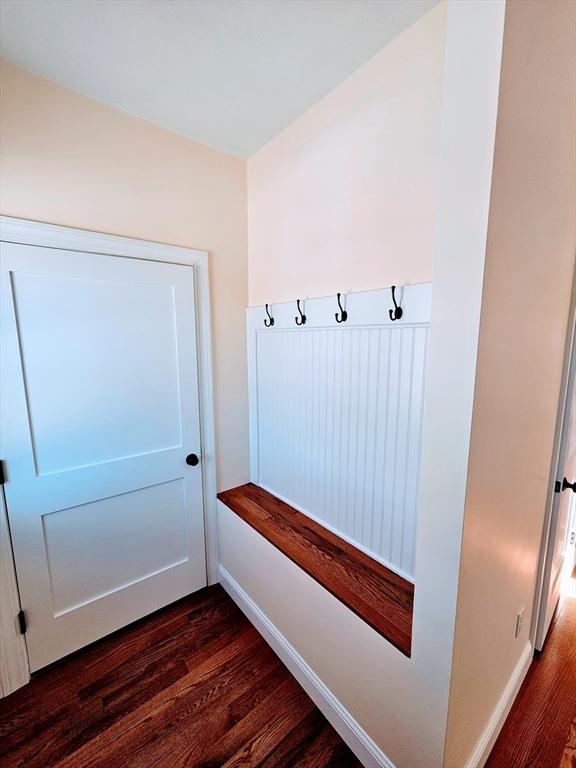 mudroom featuring baseboards and dark wood-style flooring