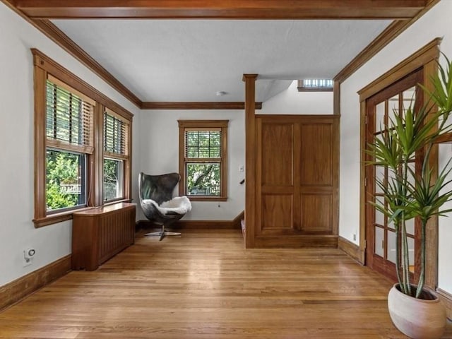 161 Playstead Rd, Medford, MA 02155 - sitting room with light wood finished floors, ornamental molding, and radiator