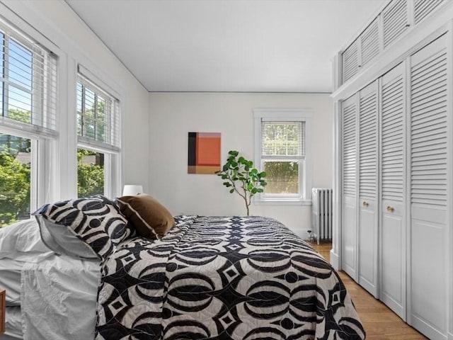 161 Playstead Rd, Medford, MA 02155 - bedroom with light wood-type flooring, a closet, and radiator