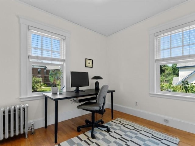 161 Playstead Rd, Medford, MA 02155 - office area featuring radiator, plenty of natural light, and wood finished floors