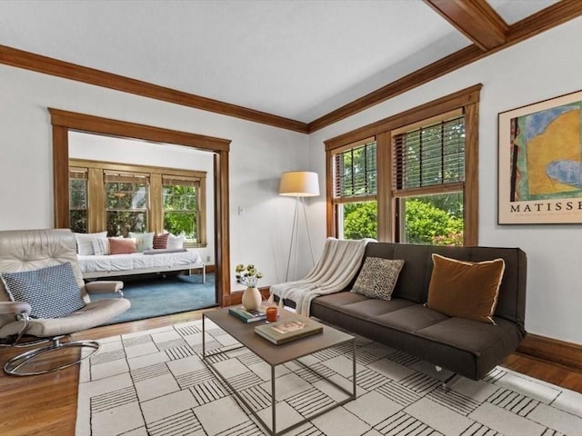 161 Playstead Rd, Medford, MA 02155 - living room featuring wood finished floors, plenty of natural light, and crown molding