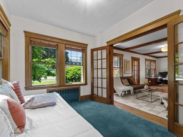 161 Playstead Rd, Medford, MA 02155 - bedroom with radiator heating unit, multiple windows, and french doors