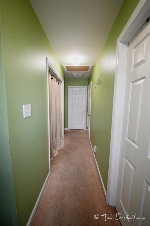 115 Arnold St, Fall River, MA 02724 - corridor with baseboards and carpet flooring