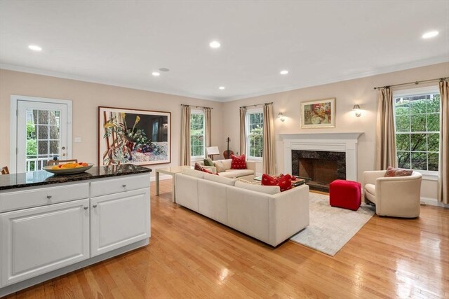 138 Worcester Ln, Waltham, MA 02451 - living area featuring light wood finished floors, healthy amount of natural light, a high end fireplace, recessed lighting, and crown molding