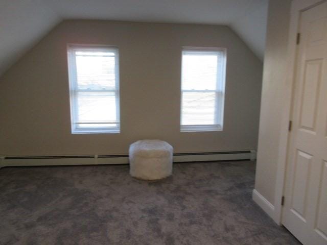 additional living space featuring lofted ceiling, a baseboard heating unit, carpet, and healthy amount of natural light