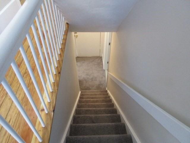 staircase featuring carpet flooring and baseboards