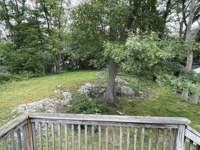 45 Leonard St, Dedham, MA 02026 - view of green lawn