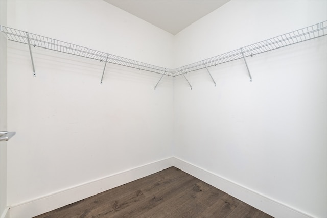 walk in closet featuring wood-type flooring