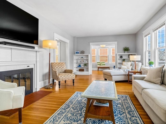 living room featuring wood-type flooring