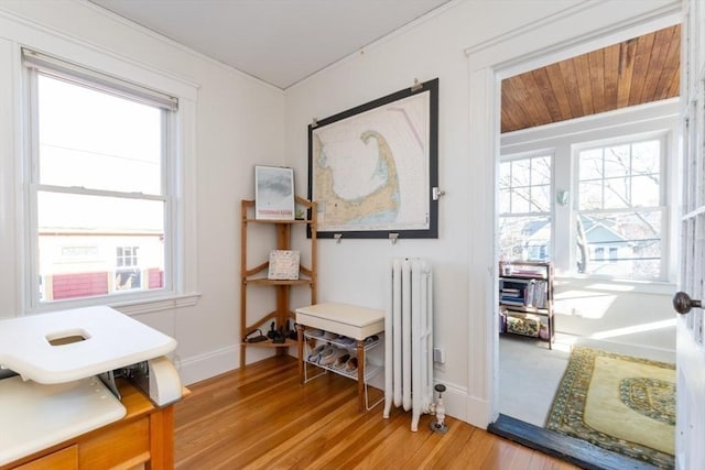 interior space with light wood finished floors, radiator heating unit, and baseboards