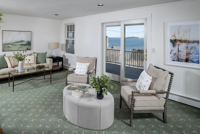 living room featuring a baseboard heating unit and carpet