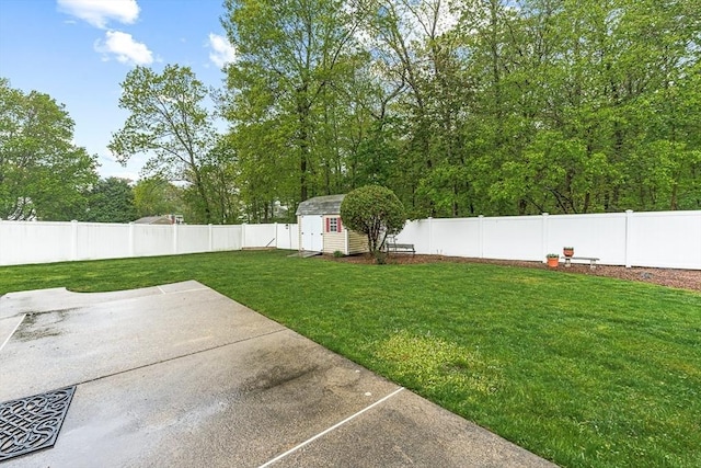 view of yard with a patio area, a storage unit, and an outdoor structure