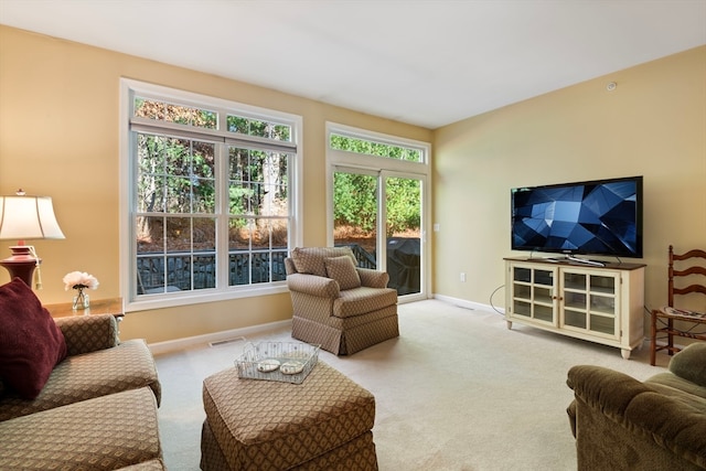 living room featuring carpet