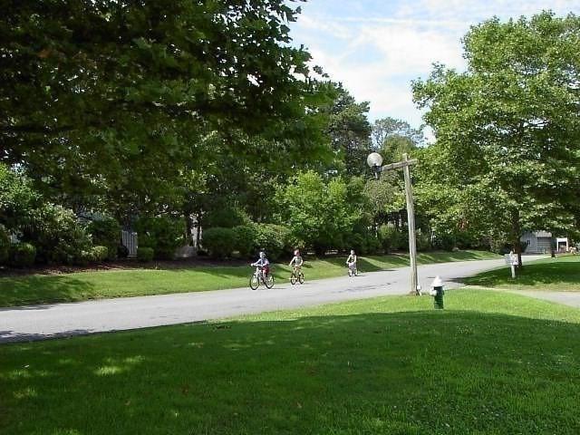 53 Chilton Ln Unit 53, Brewster, MA 02631 - view of home's community with a yard