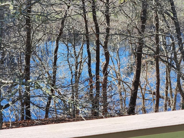53 Chilton Ln Unit 53, Brewster, MA 02631 - water view