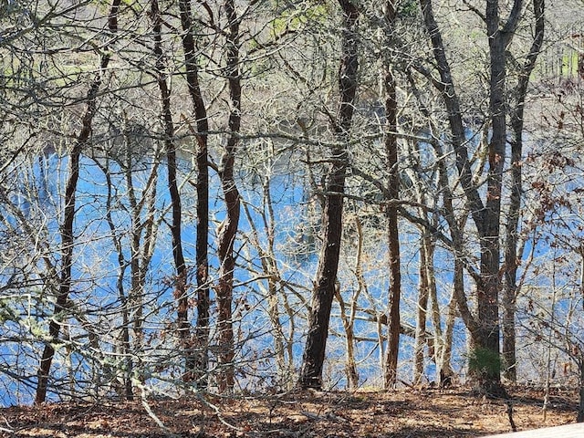 53 Chilton Ln Unit 53, Brewster, MA 02631 - property view of water