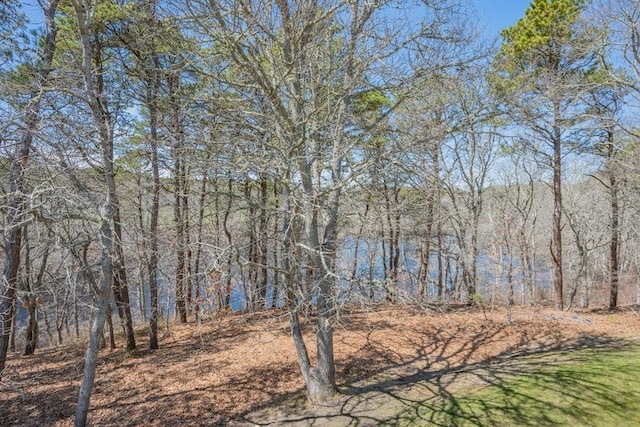53 Chilton Ln Unit 53, Brewster, MA 02631 - view of local wilderness with a forest view
