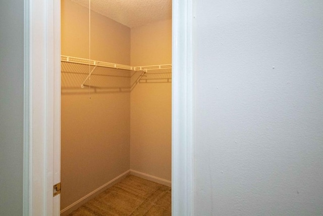 120 Fisherville Rd Unit 121, Concord, NH 03303 - walk in closet featuring carpet flooring