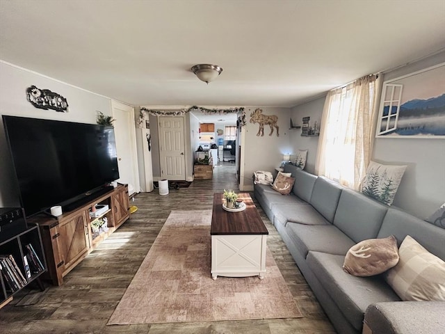 living room featuring dark hardwood / wood-style floors