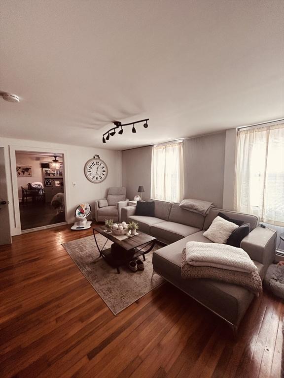 living room featuring rail lighting and dark wood-type flooring