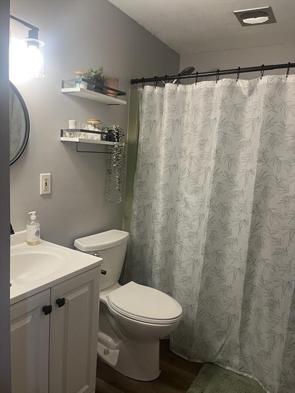 297 Ashland Ave Unit 24, Southbridge, MA 01550 - full bath featuring wood finished floors, vanity, and a shower with shower curtain