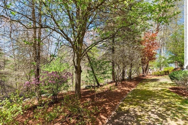 3 Anders Way, Acton, MA 01720 - view of yard