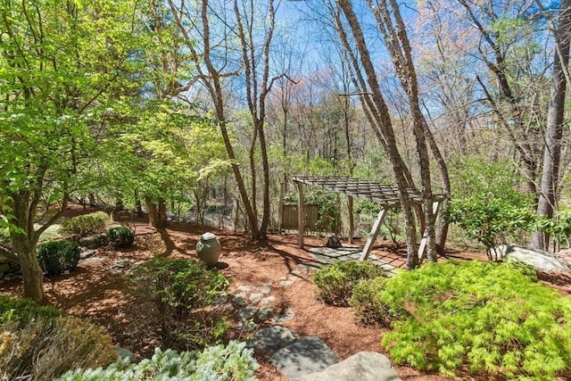 3 Anders Way, Acton, MA 01720 - view of yard with a pergola
