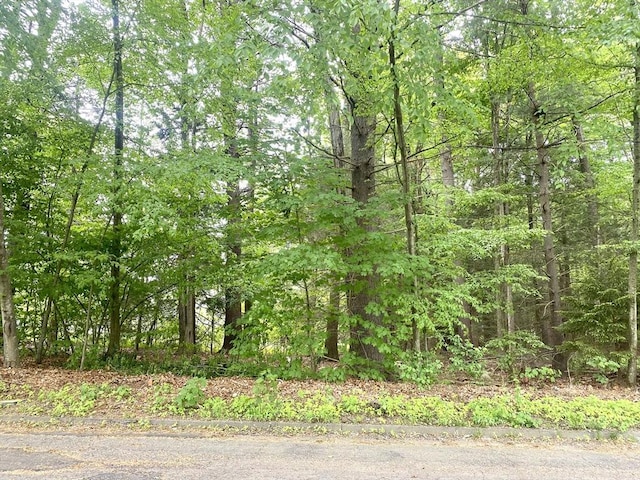 LOT0 Surrey Ln, Westfield, MA 01085
