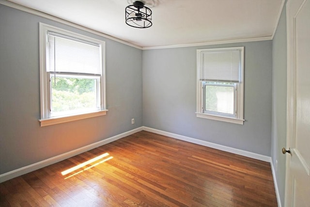 1 Stratford Rd, Holyoke, MA 01040 - spare room featuring healthy amount of natural light, ornamental molding, wood finished floors, and baseboards