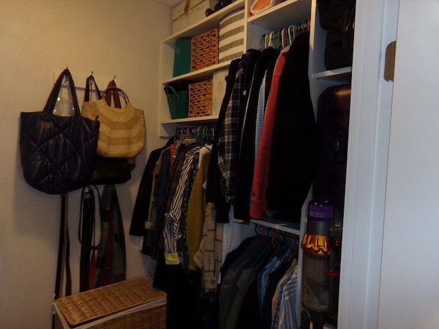 view of spacious closet