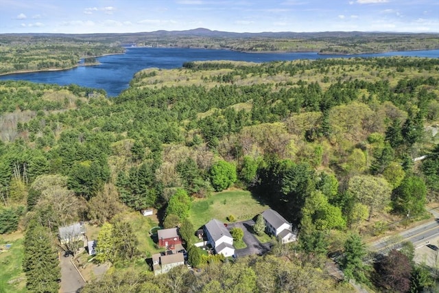 drone / aerial view with a water and mountain view and a view of trees