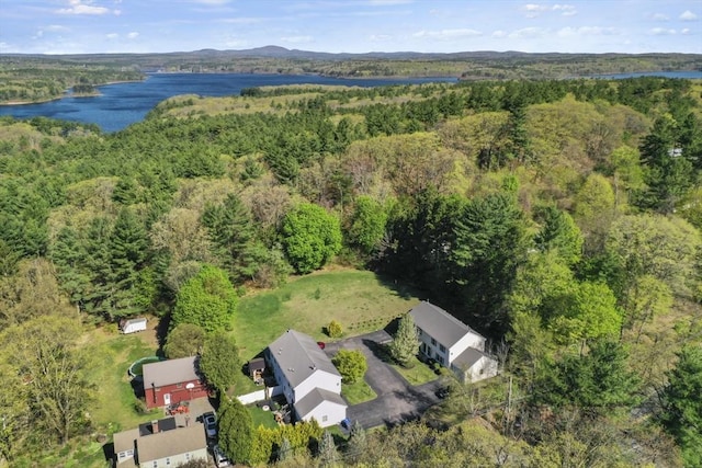 drone / aerial view featuring a water view and a forest view