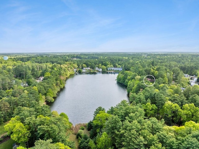 111 Esta Rd, Plymouth, MA 02360 - bird's eye view of a forest and a nearby body of water