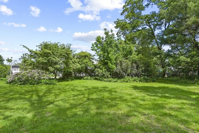 270 Main St, Oxford, MA 01540 - view of grassy yard