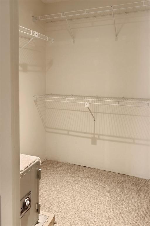 8 9th St Unit 406, Medford, MA 02155 - walk in closet featuring carpet