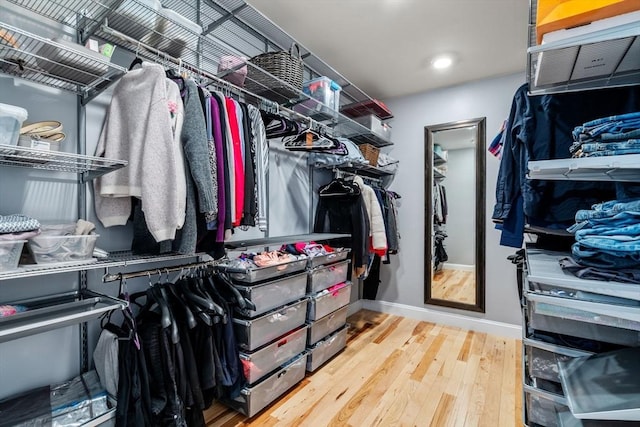 walk in closet featuring wood finished floors