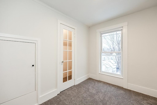 interior space featuring carpet floors and a wealth of natural light