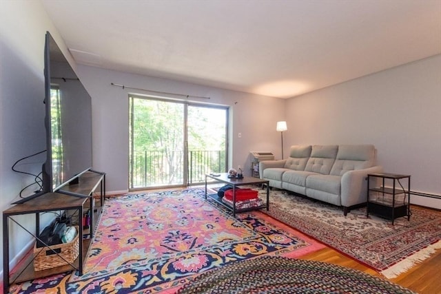 57 Saint Paul St Unit 19, Brookline, MA 02445 - living room with wood finished floors and baseboards