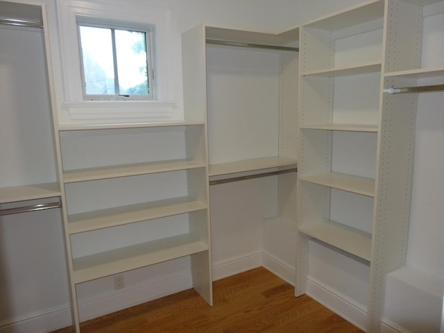 spacious closet featuring wood-type flooring